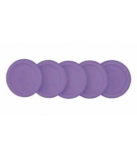 DISCOS E ELÁSTICO G ROXO CADERNO INTELIGENTE DISCOS E ELÁSTICO G ROXO CADERNO INTELIGENTE