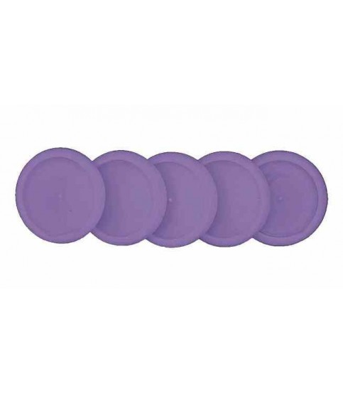 DISCOS E ELÁSTICO G ROXO CADERNO INTELIGENTE