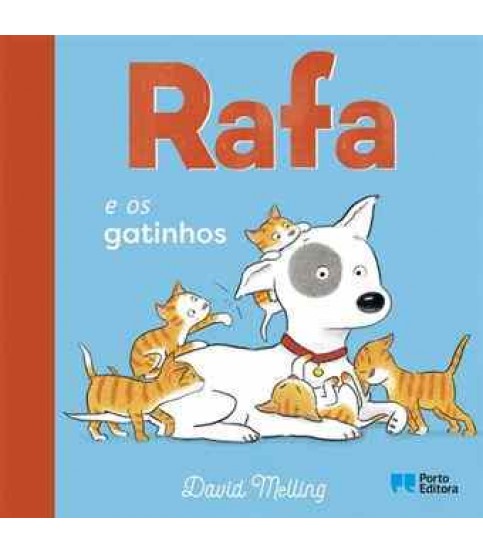 RAFA E OS GATINHOS