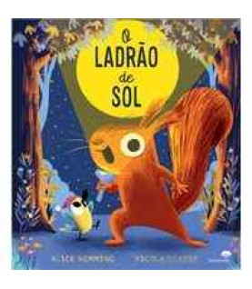 O LADRÃO DE SOL O LADRÃO DE SOL